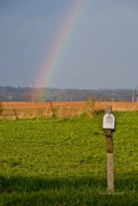 Langes_corner_mail_box_rainbow